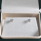 Round-Cut Stud Earring Moissanite - 1.0ct